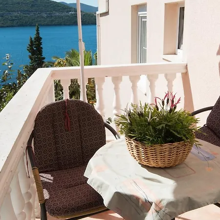 Solaris * Neum