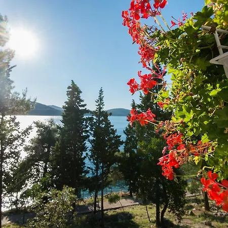 Solaris Lägenhet