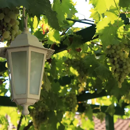 Lägenhet Solaris Neum